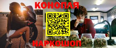 молекула духа Будённовск