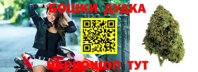 молекула духа Будённовск