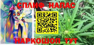 молекула духа Будённовск