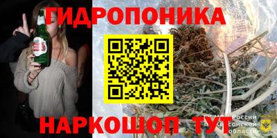 молекула духа Будённовск